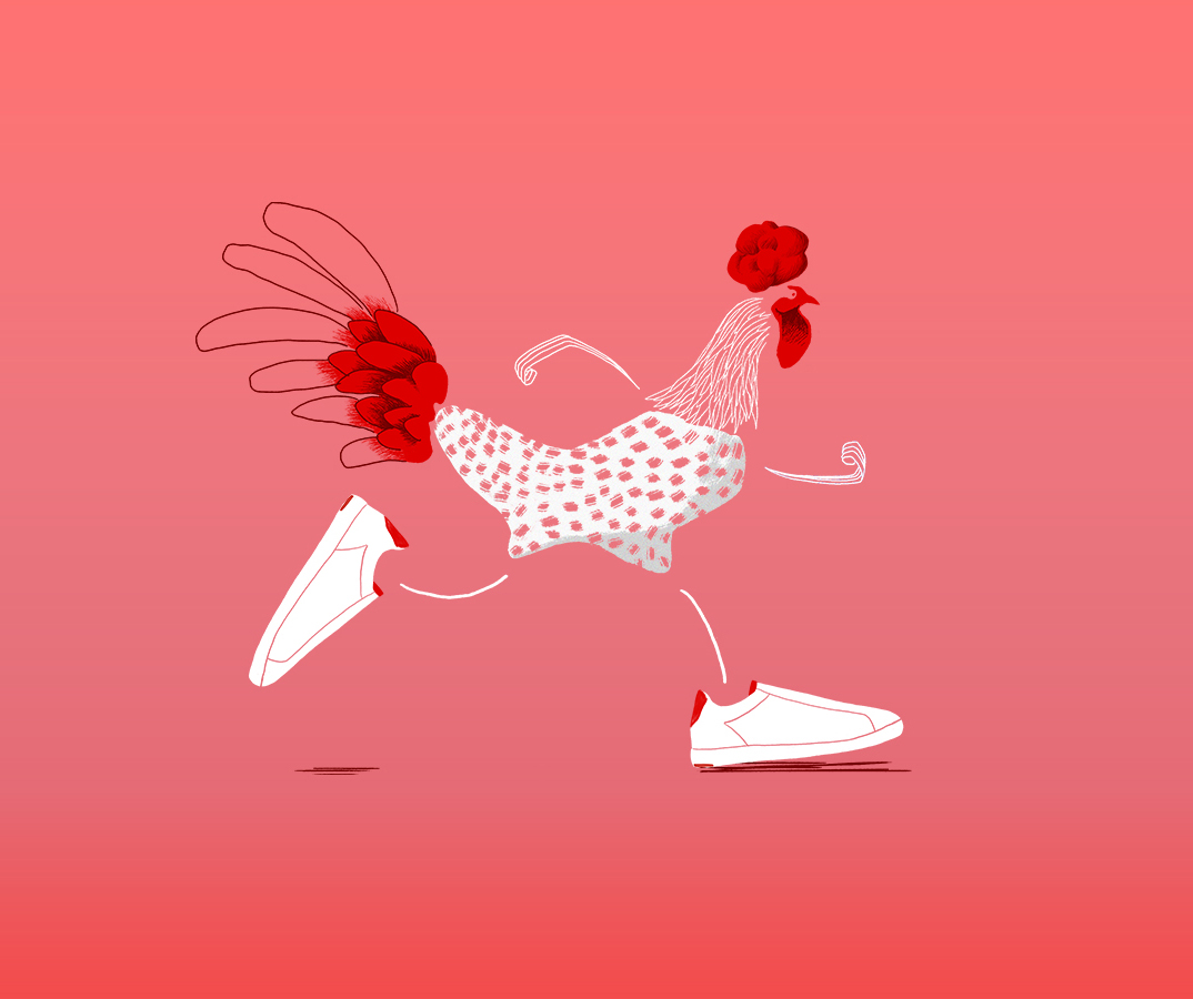 Illustration coq rouge